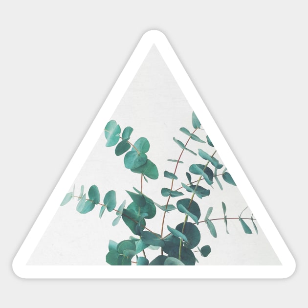 Eucalyptus II Sticker by Cassia